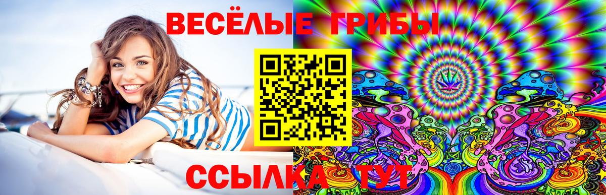 Галлюциногенные грибы Magic Shrooms Канаш