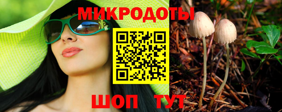 Канаш  Галлюциногенные грибы Cubensis  Псилоцибиновые грибы Magic Shrooms  Вход с VPN 